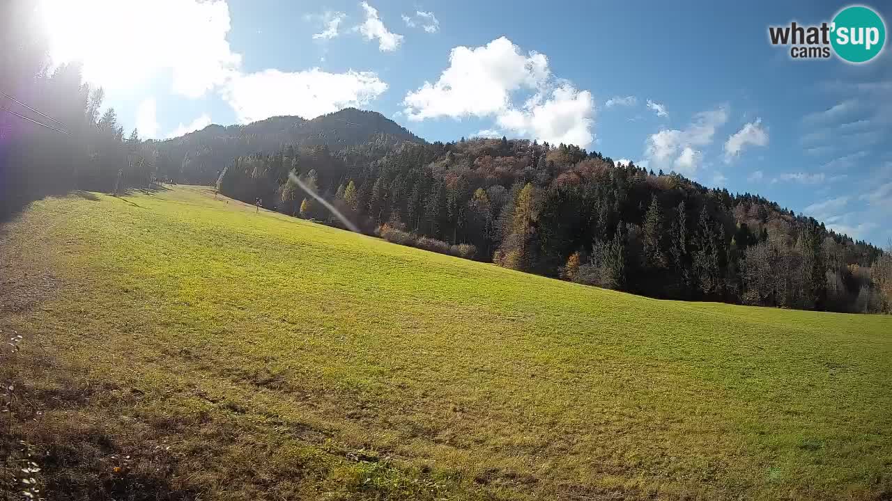 RTC Kranjska Gora | Brsnina