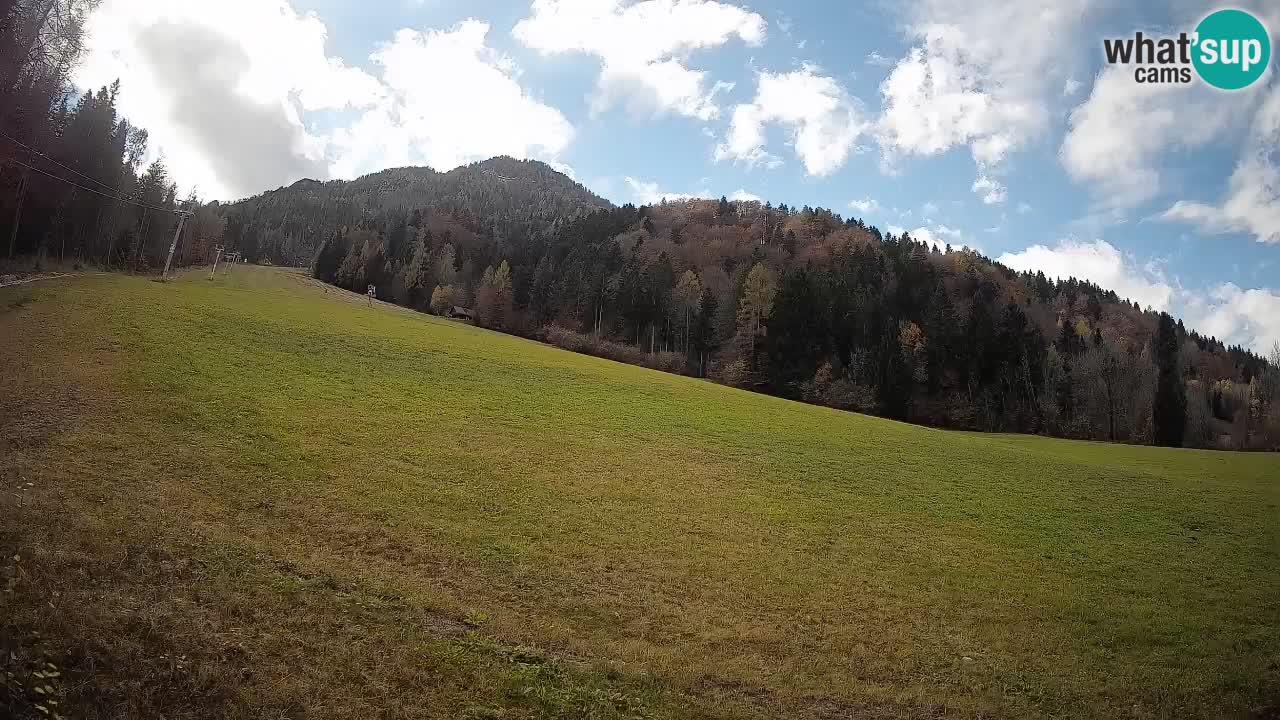 RTC Kranjska Gora | Brsnina