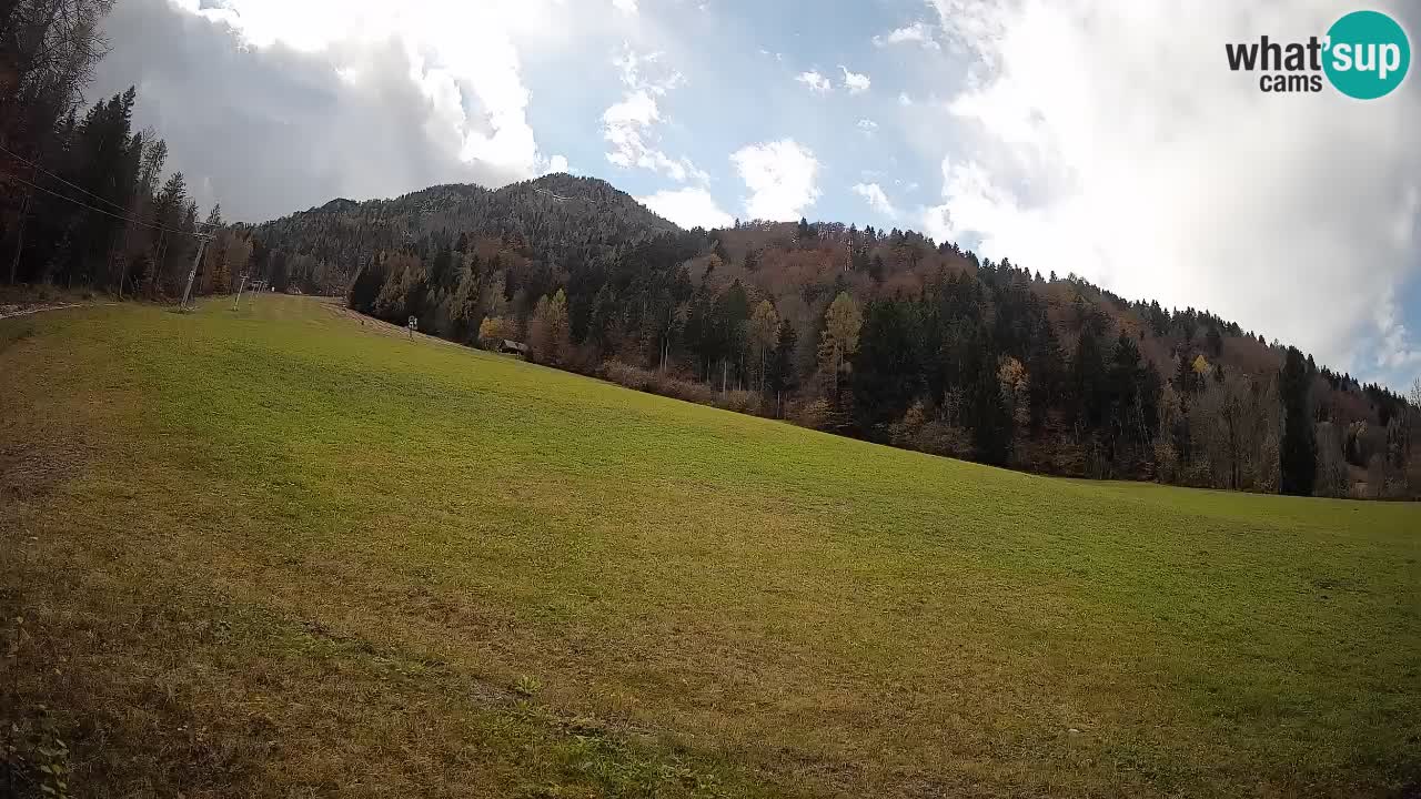RTC Skigebiet Kranjska Gora | Brsnina