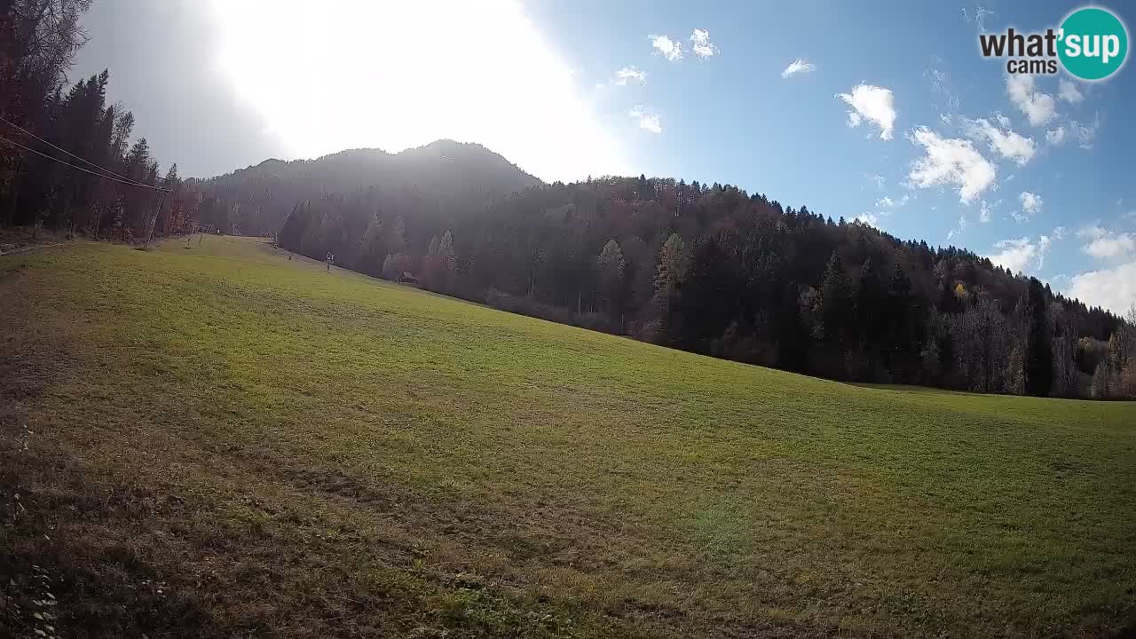 RTC Skigebiet Kranjska Gora | Brsnina