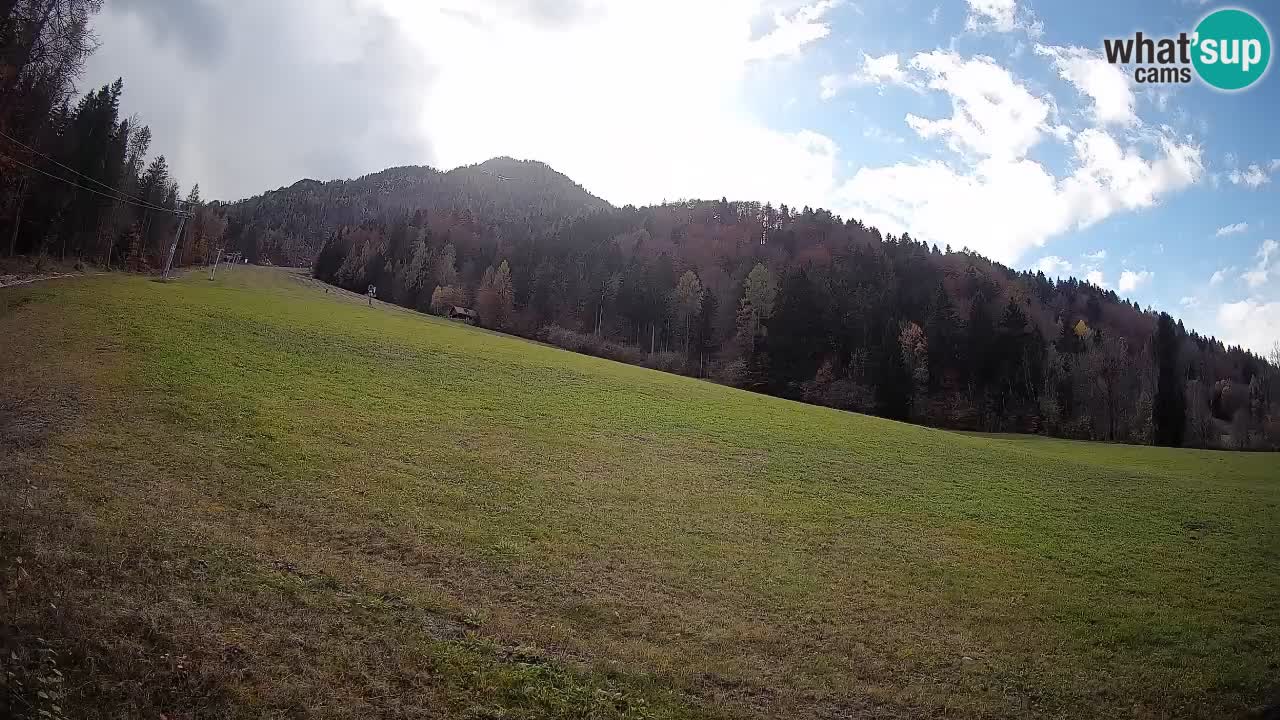 RTC Skigebiet Kranjska Gora | Brsnina