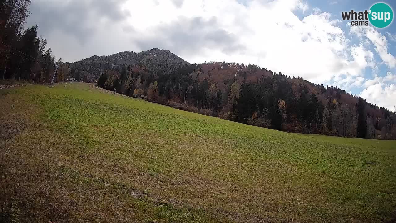 RTC Kranjska Gora | Brsnina