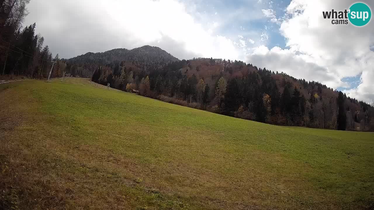 Comprensorio sciistico Kranjska Gora | Brsnina