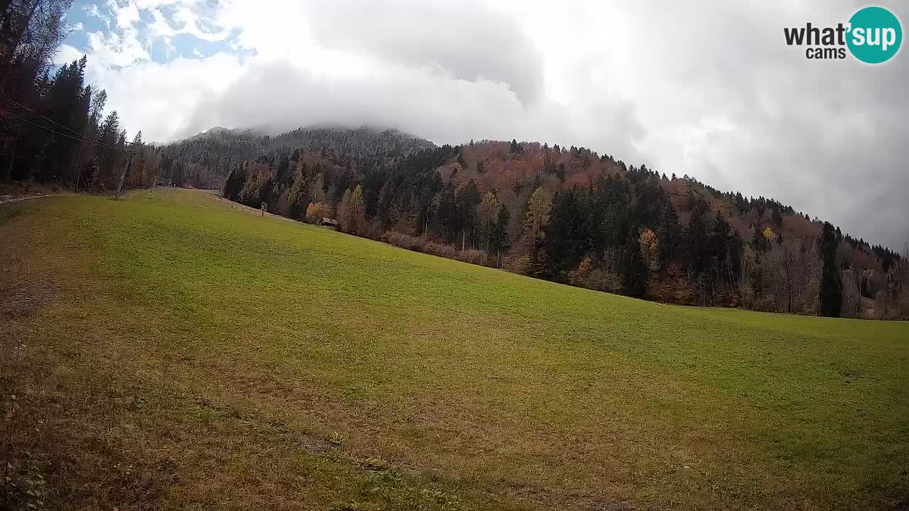 Ski Kranjska Gora | Brsnina
