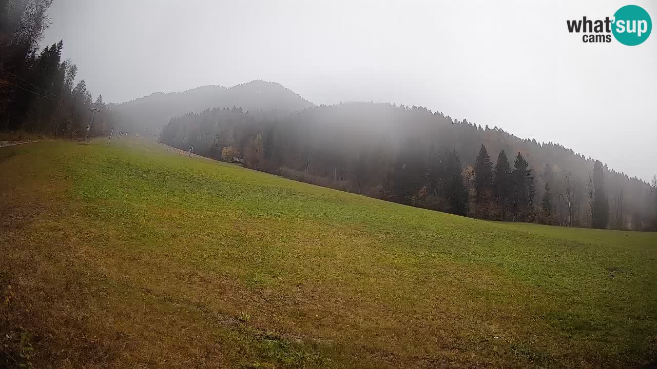 Esquí Kranjska Gora | Brsnina