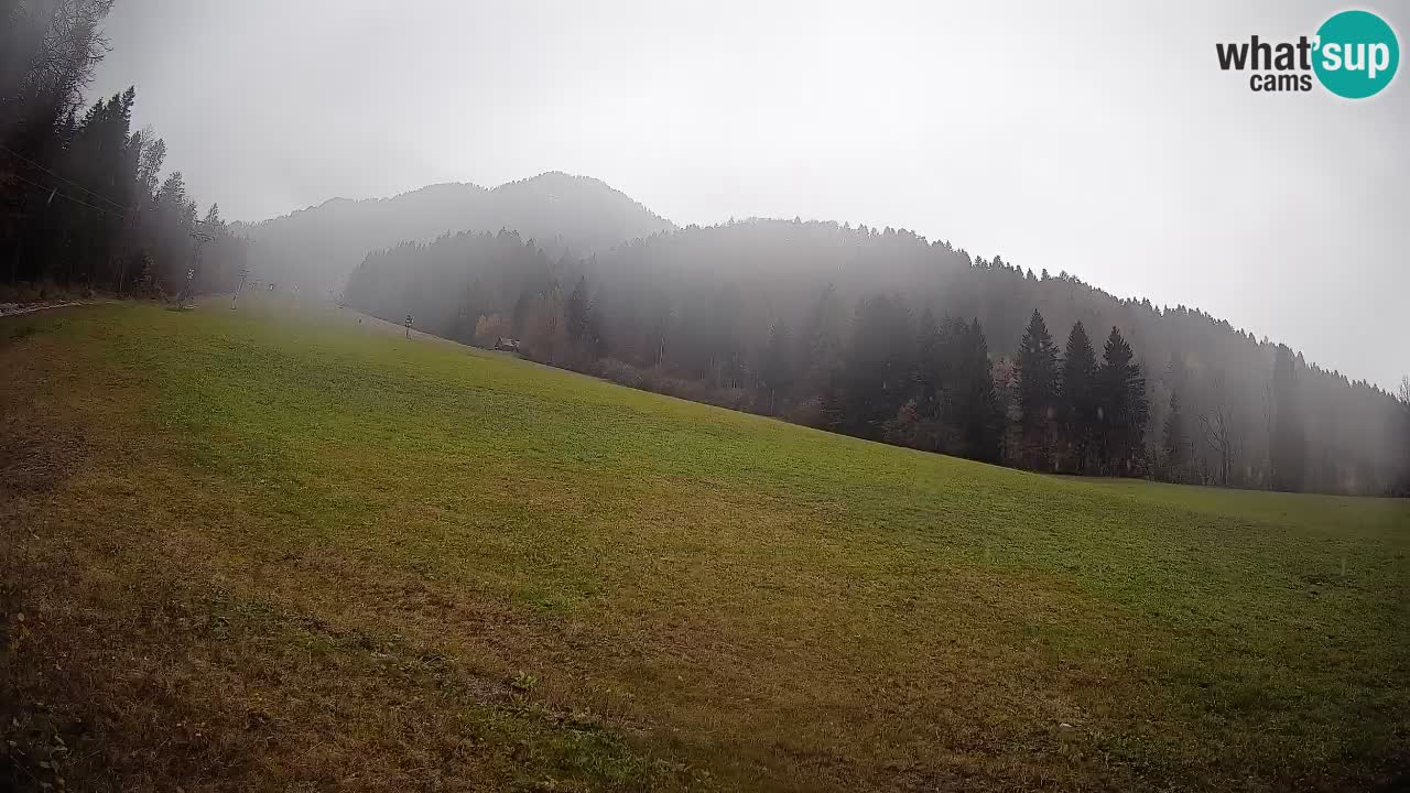 RTC Kranjska Gora | Brsnina