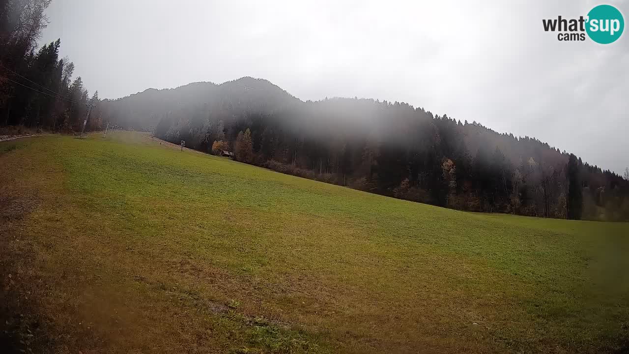 Ski Kranjska Gora | Brsnina