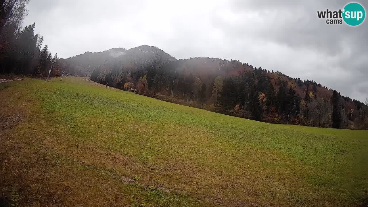 RTC Kranjska Gora | Brsnina