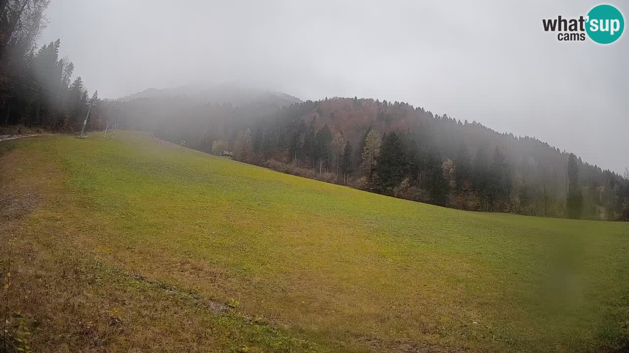 Comprensorio sciistico Kranjska Gora | Brsnina