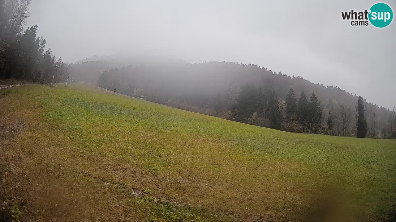 Comprensorio sciistico Kranjska Gora | Brsnina