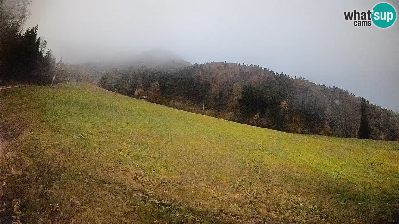 RTC Kranjska Gora | Brsnina