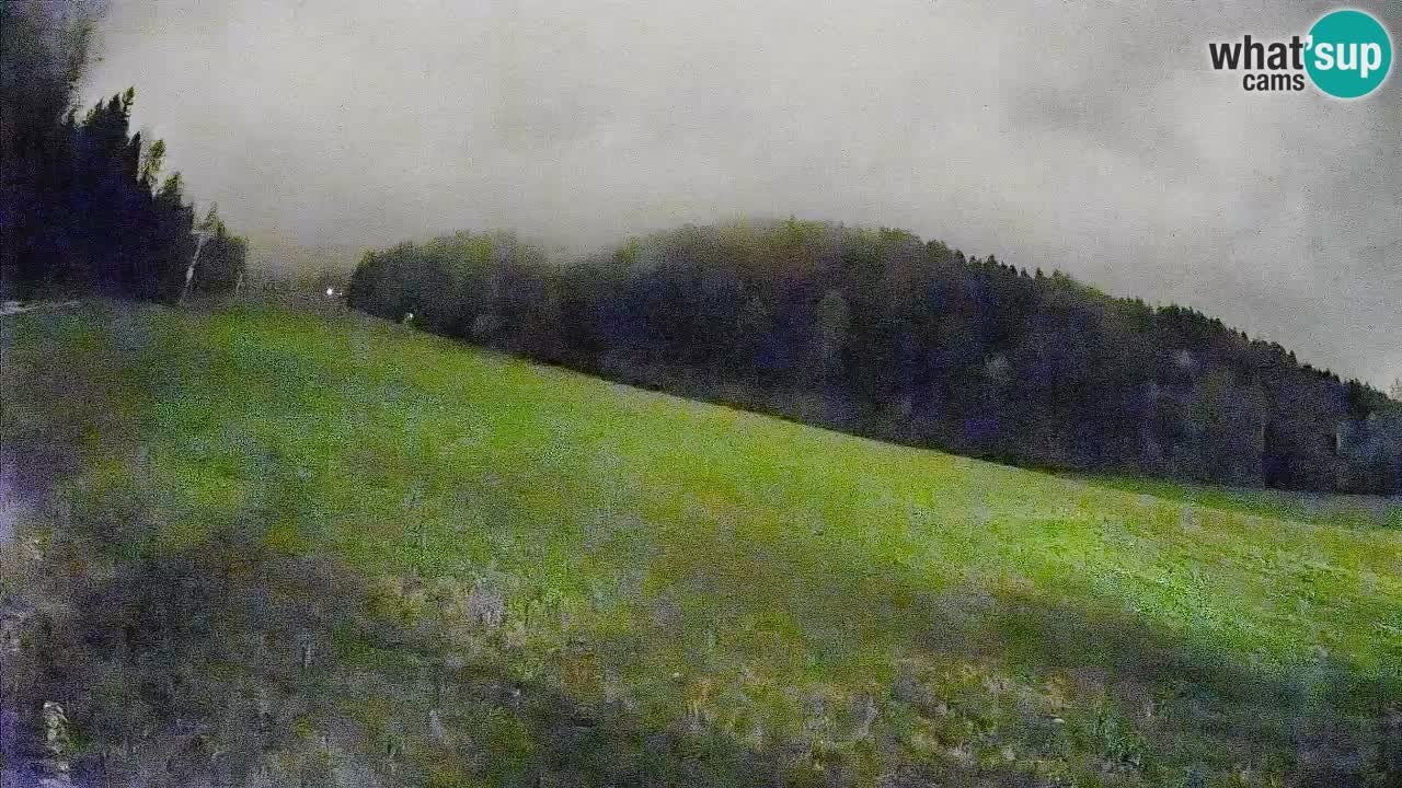 RTC Kranjska Gora | Brsnina