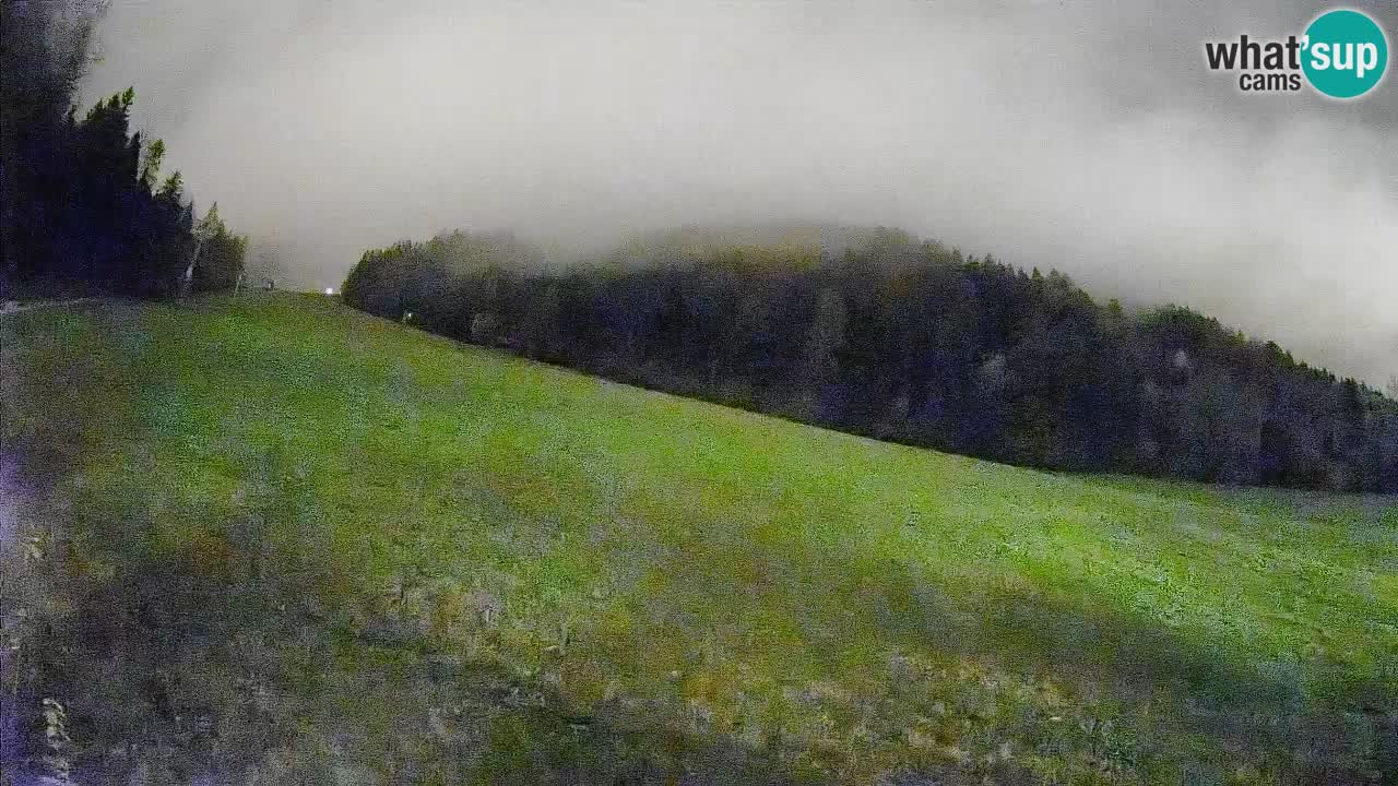 Comprensorio sciistico Kranjska Gora | Brsnina