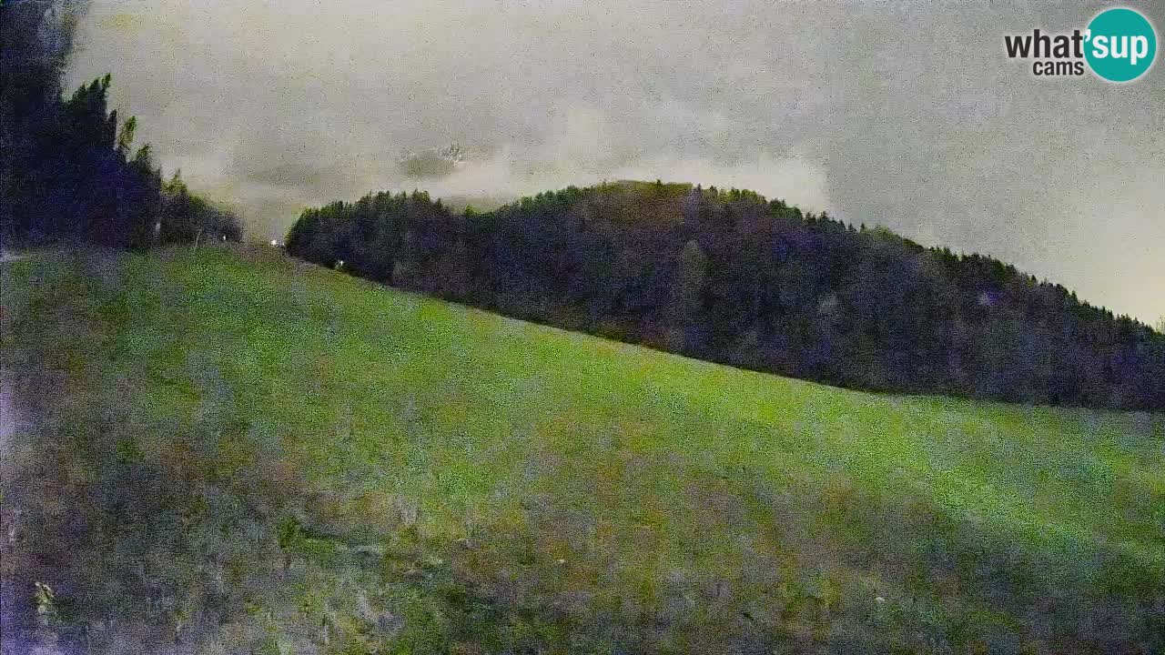 Ski Kranjska Gora | Brsnina