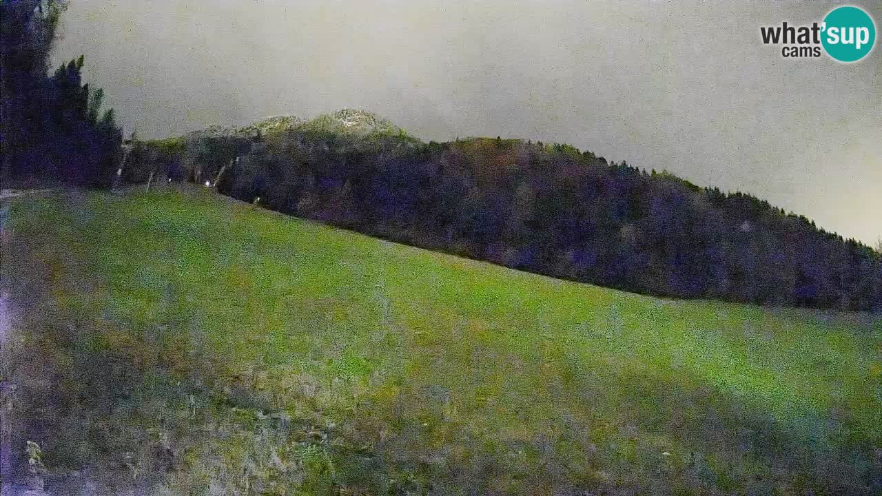 Comprensorio sciistico Kranjska Gora | Brsnina