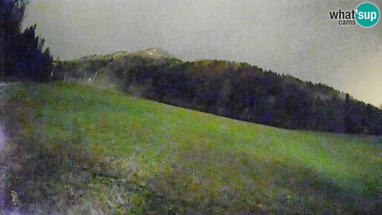 RTC Kranjska Gora | Brsnina