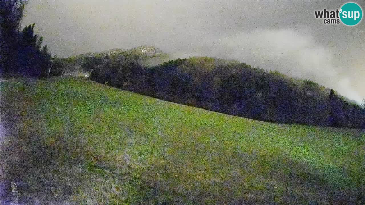 Comprensorio sciistico Kranjska Gora | Brsnina