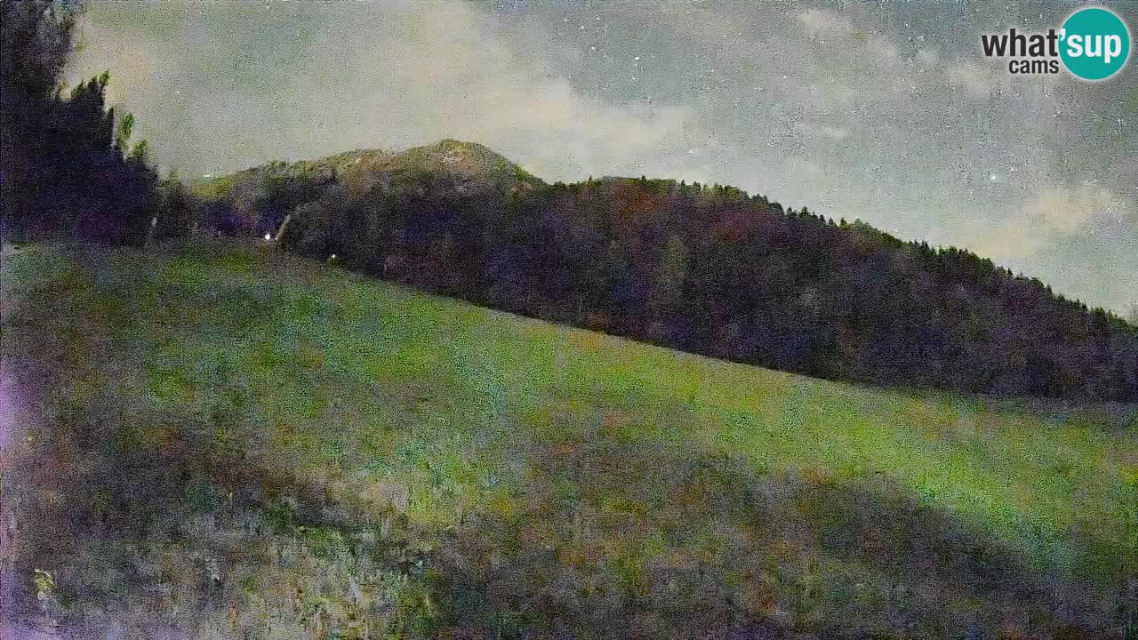 Ski Kranjska Gora | Brsnina