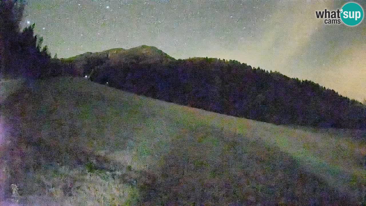 RTC Kranjska Gora | Brsnina