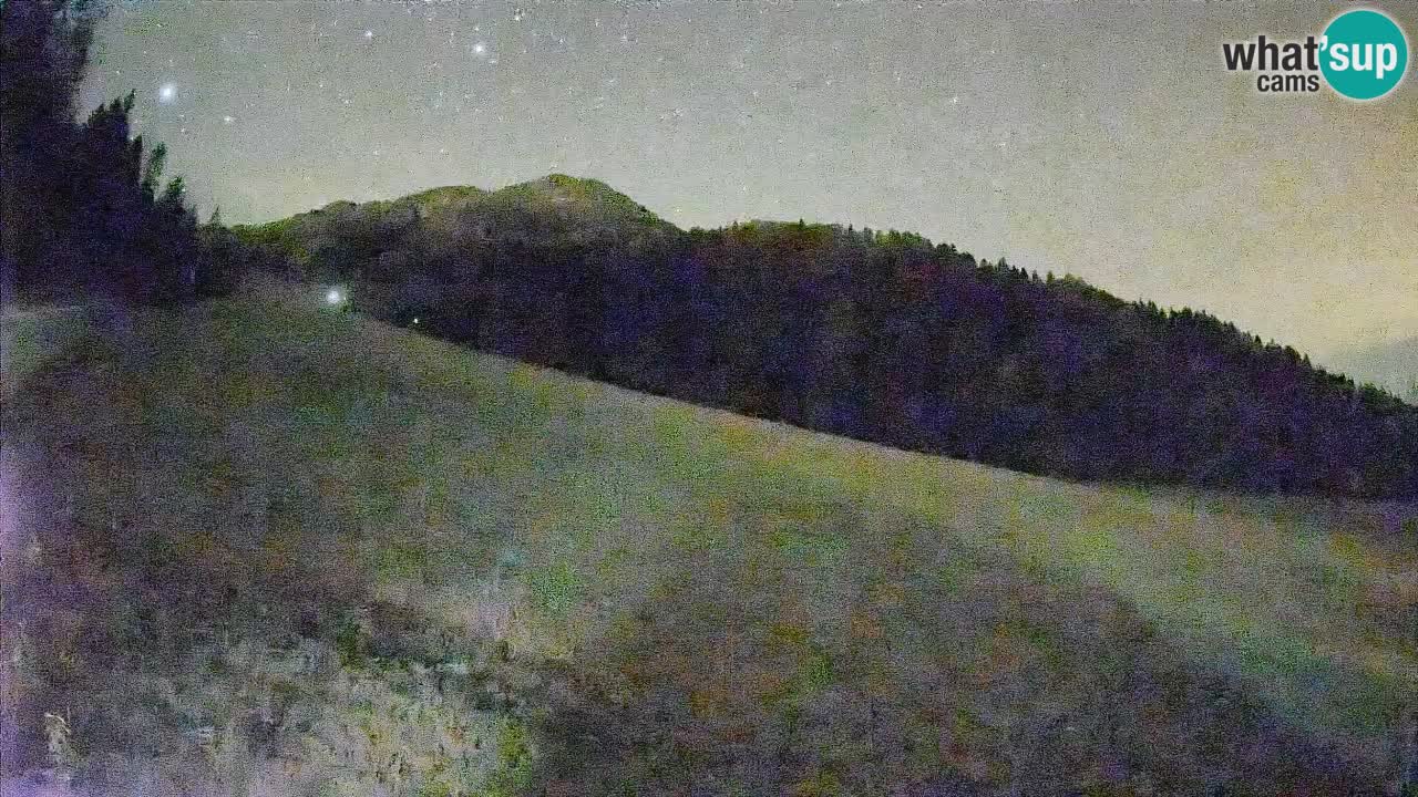 Ski Kranjska Gora | Brsnina