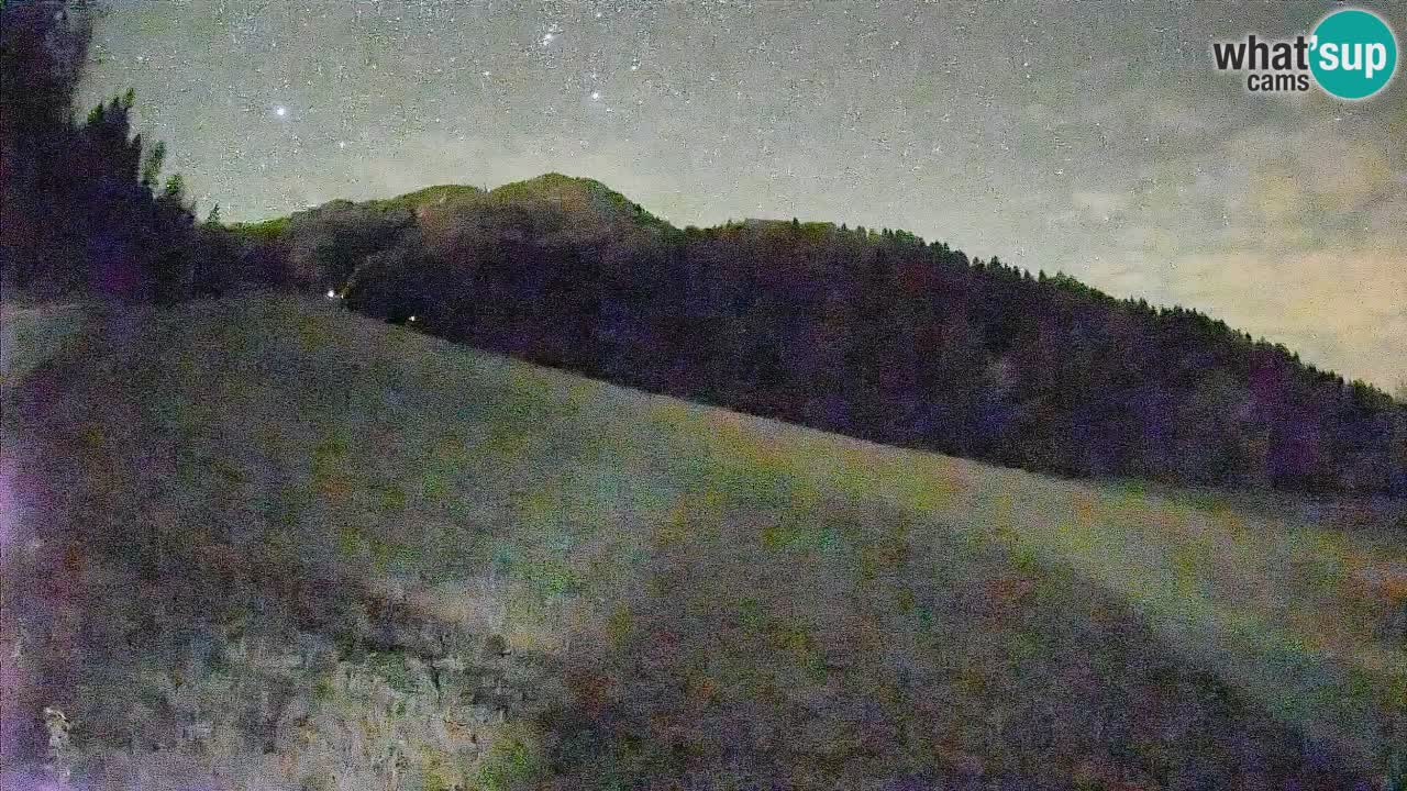 Esquí Kranjska Gora | Brsnina