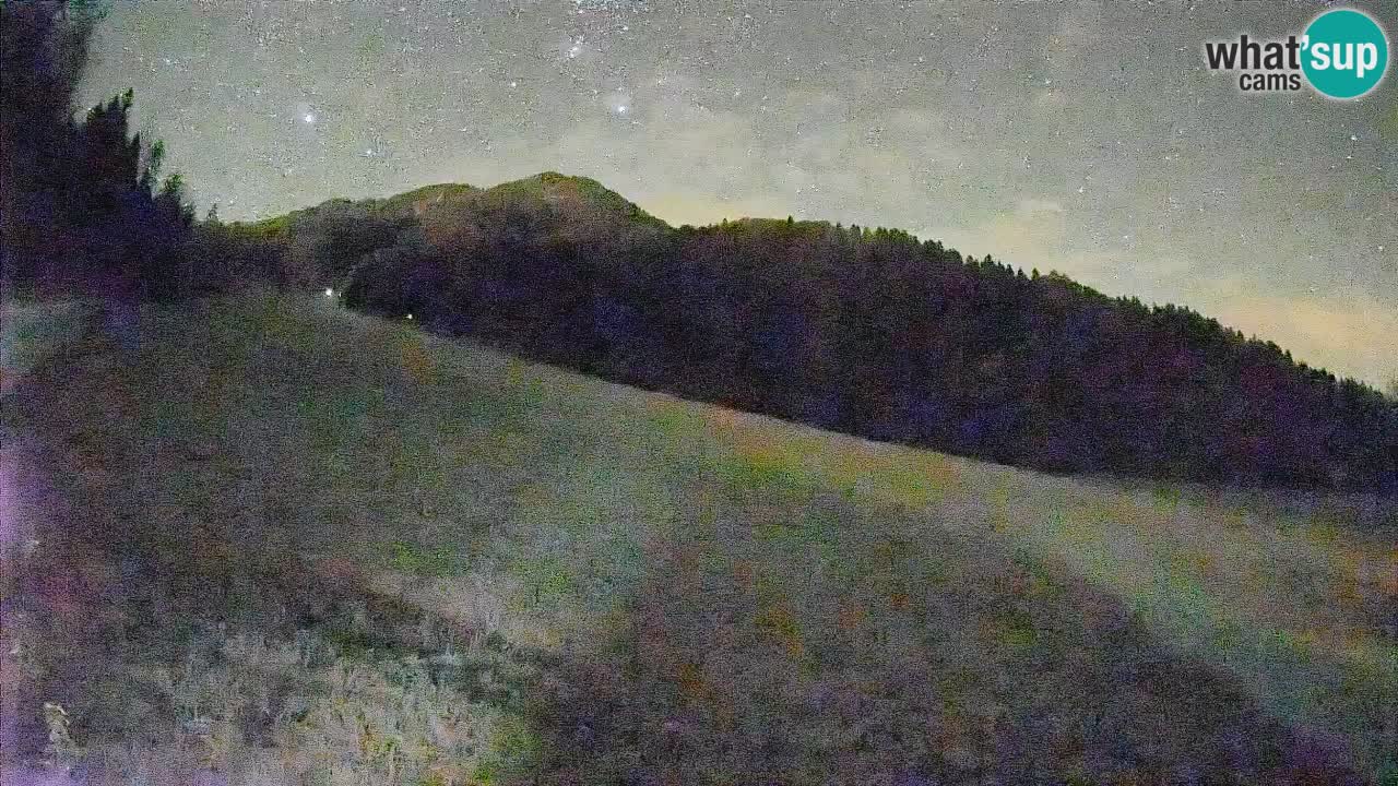 Ski Kranjska Gora | Brsnina
