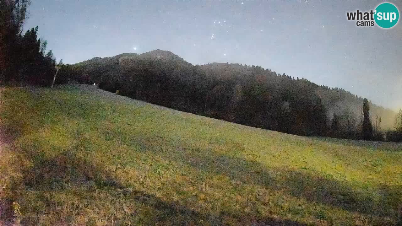 Comprensorio sciistico Kranjska Gora | Brsnina