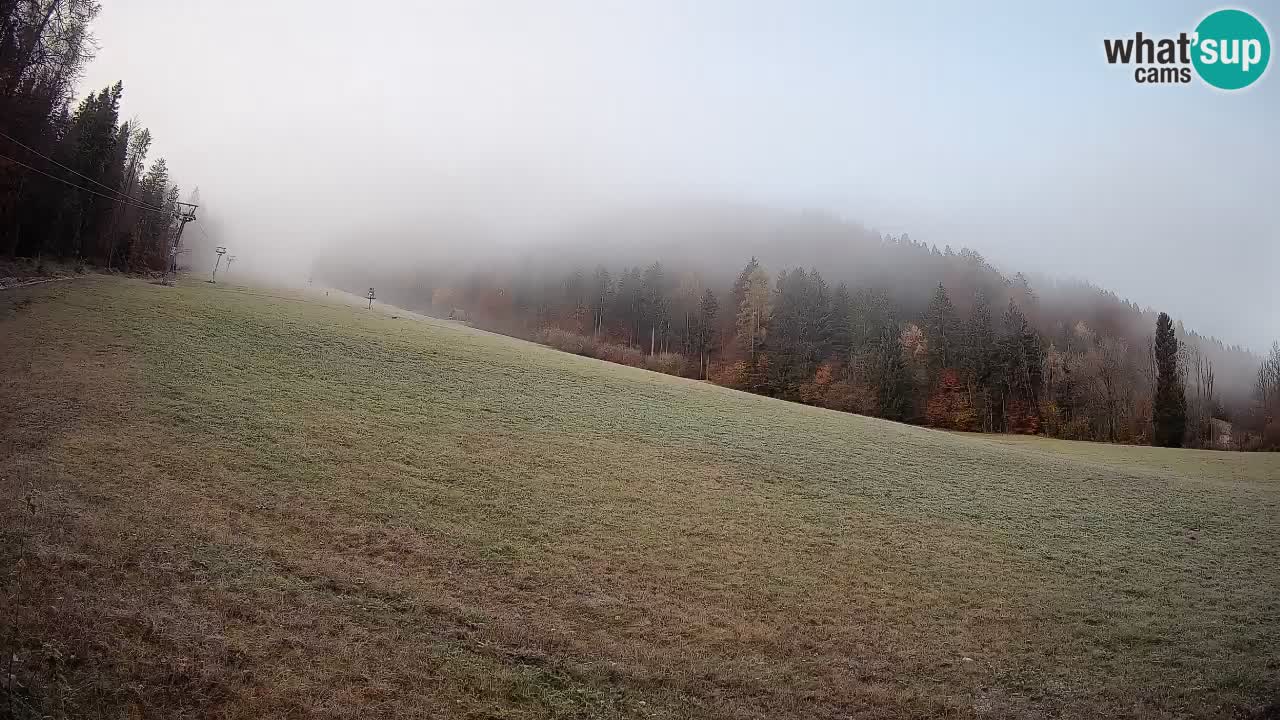 RTC Kranjska Gora | Brsnina