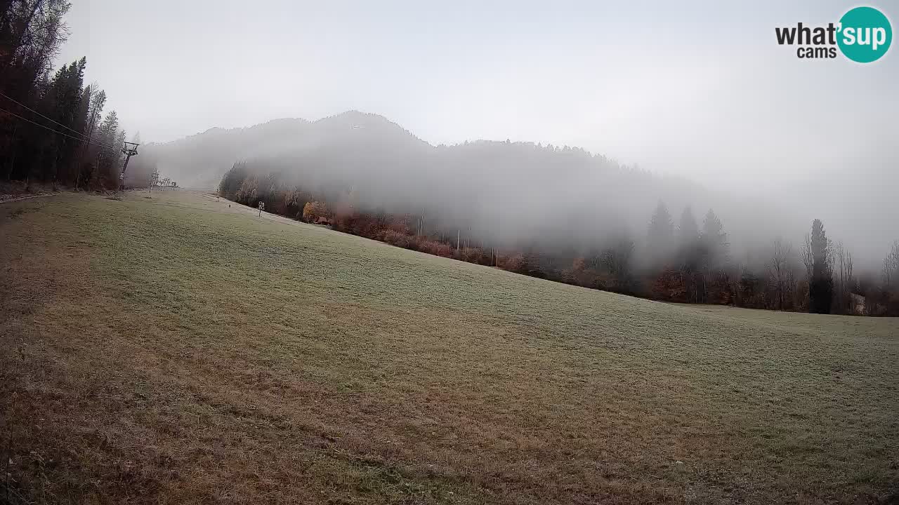 RTC Kranjska Gora | Brsnina