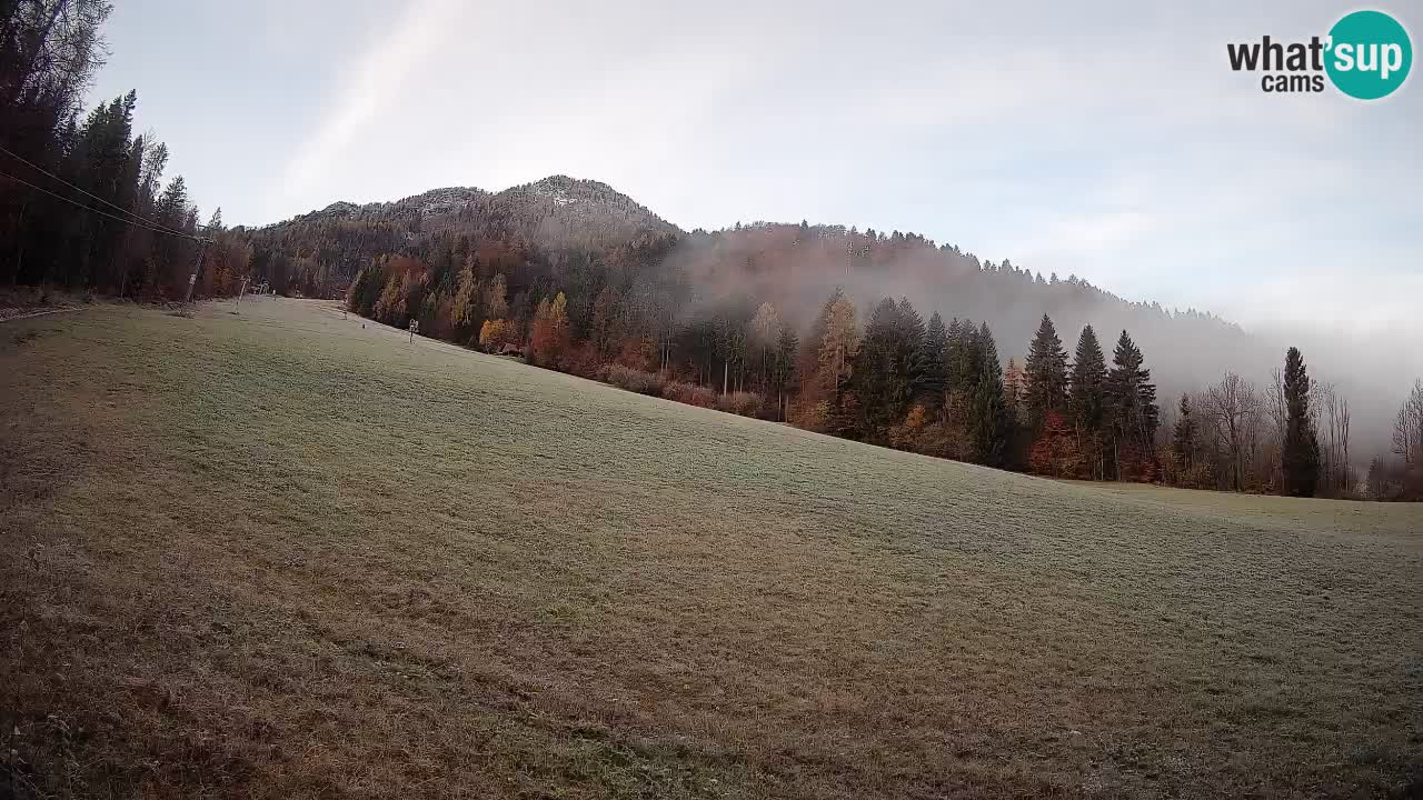 Comprensorio sciistico Kranjska Gora | Brsnina