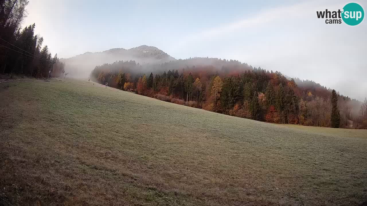 Ski Kranjska Gora | Brsnina