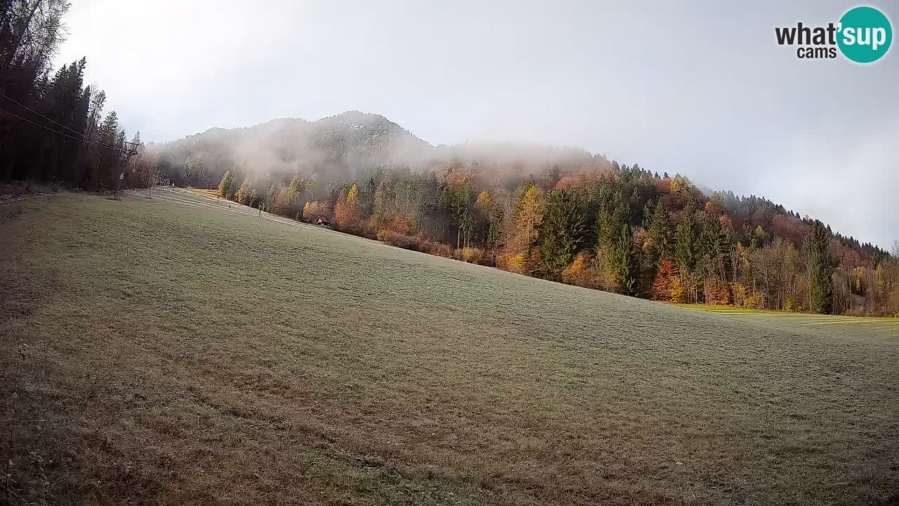 Comprensorio sciistico Kranjska Gora | Brsnina