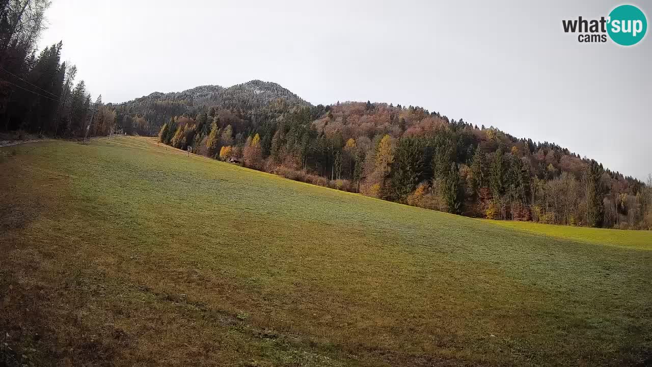 Kranjska Gora SKIJANJE | Brsnina