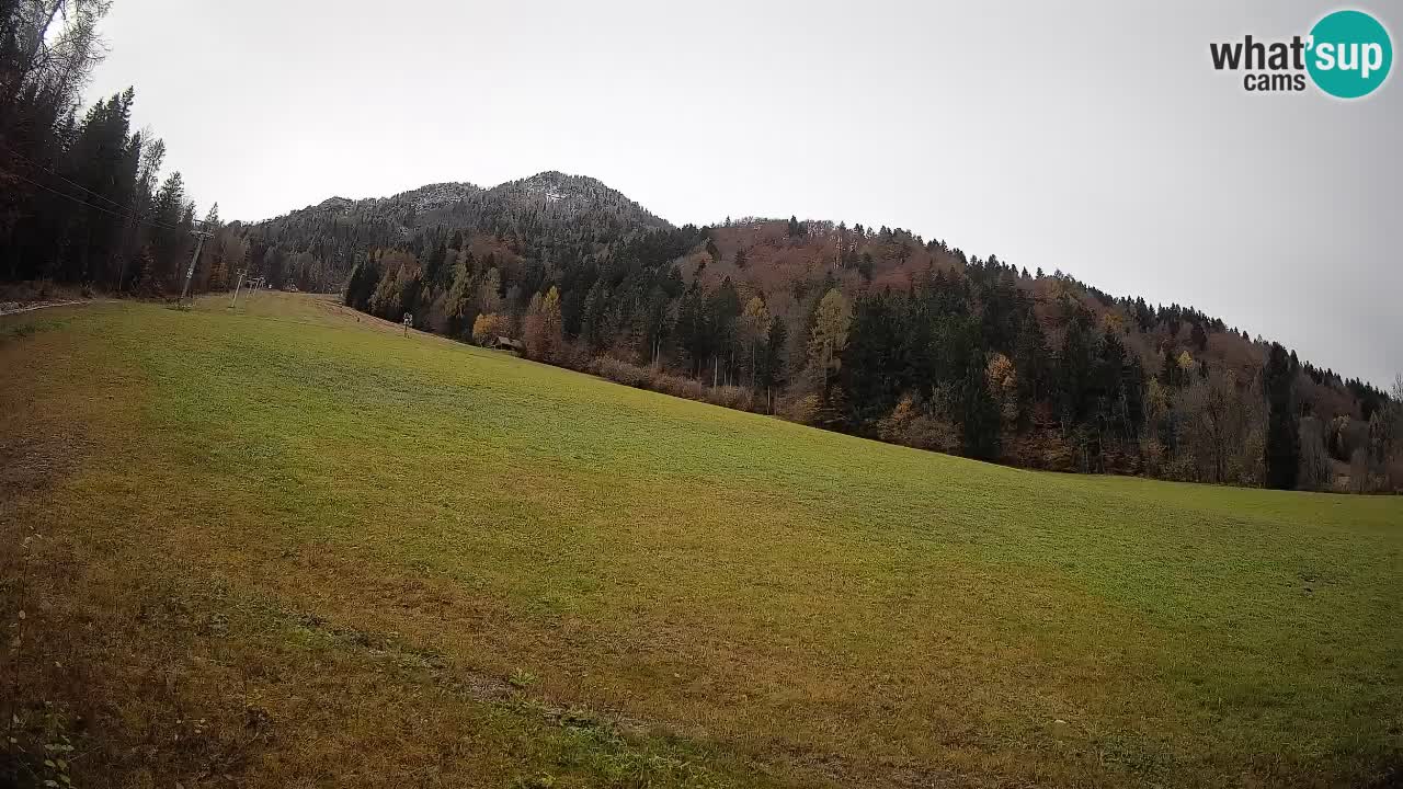 Comprensorio sciistico Kranjska Gora | Brsnina