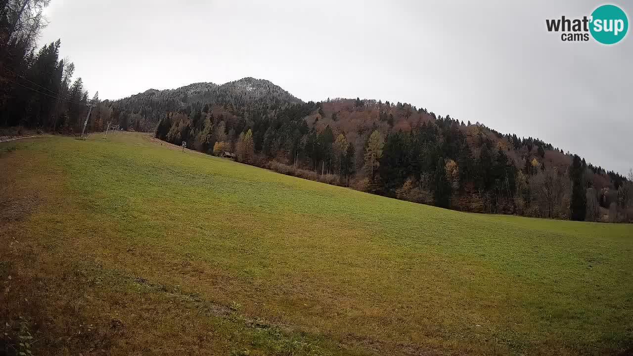 Kranjska Gora Station de ski | Brsnina