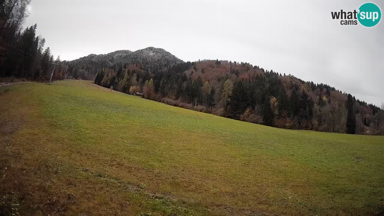 Comprensorio sciistico Kranjska Gora | Brsnina