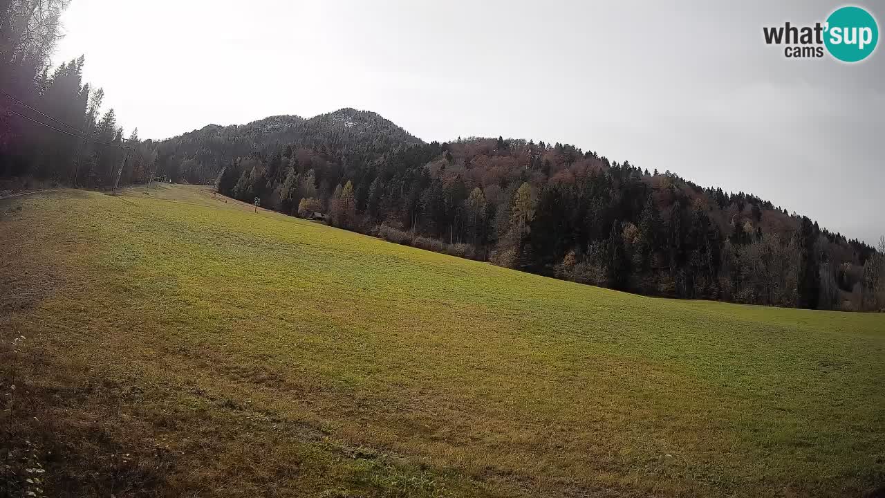 Comprensorio sciistico Kranjska Gora | Brsnina