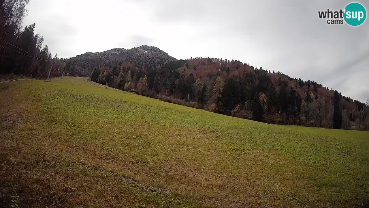 Kranjska Gora Station de ski | Brsnina