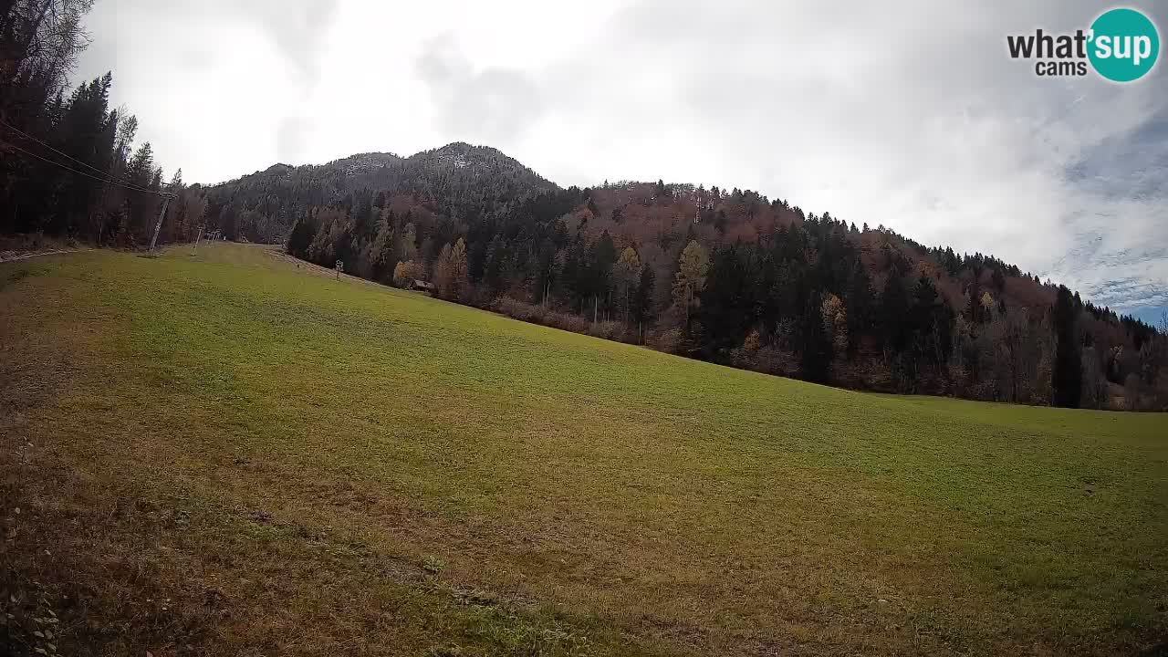 RTC Skigebiet Kranjska Gora | Brsnina