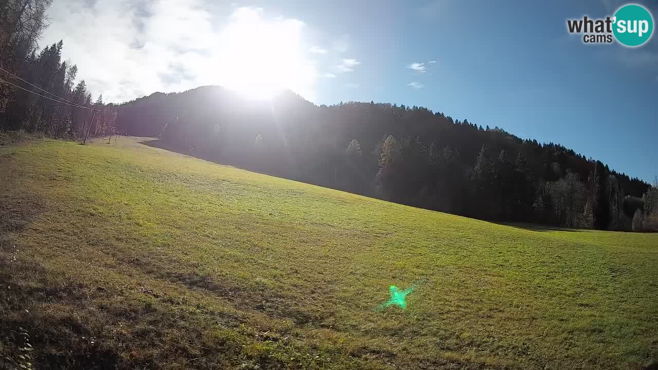 Ski Kranjska Gora | Brsnina