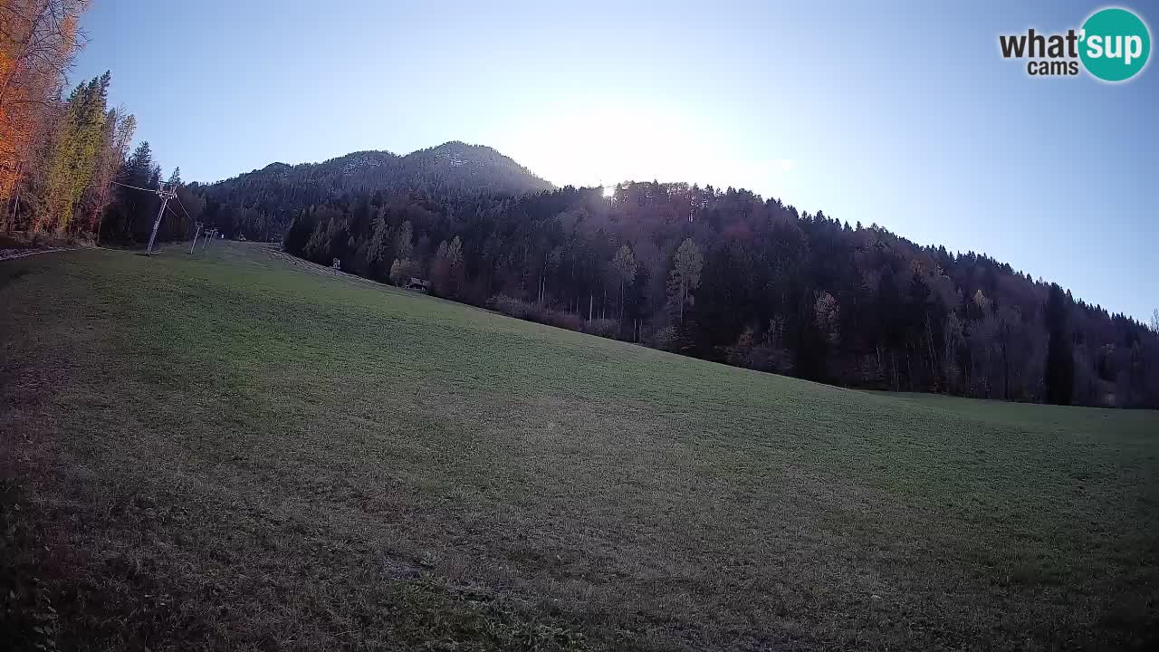 Comprensorio sciistico Kranjska Gora | Brsnina