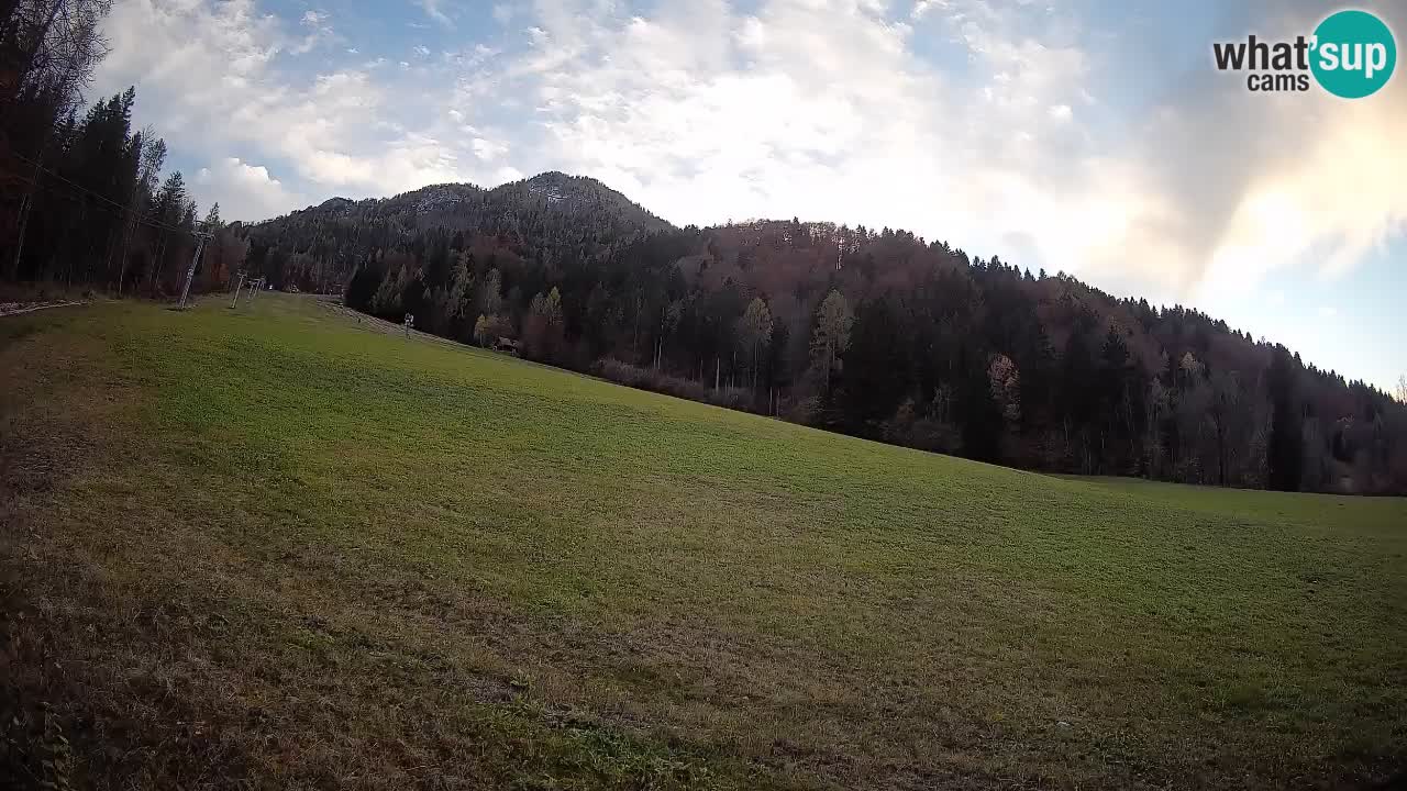 Comprensorio sciistico Kranjska Gora | Brsnina
