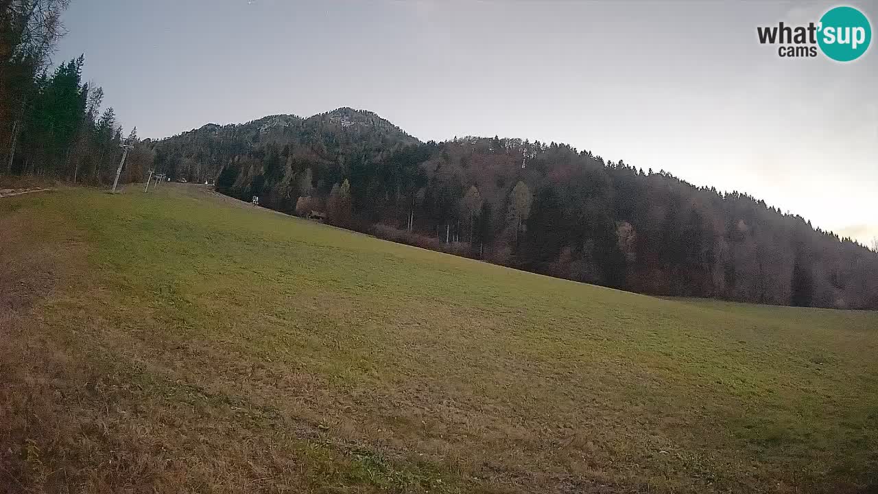 Comprensorio sciistico Kranjska Gora | Brsnina