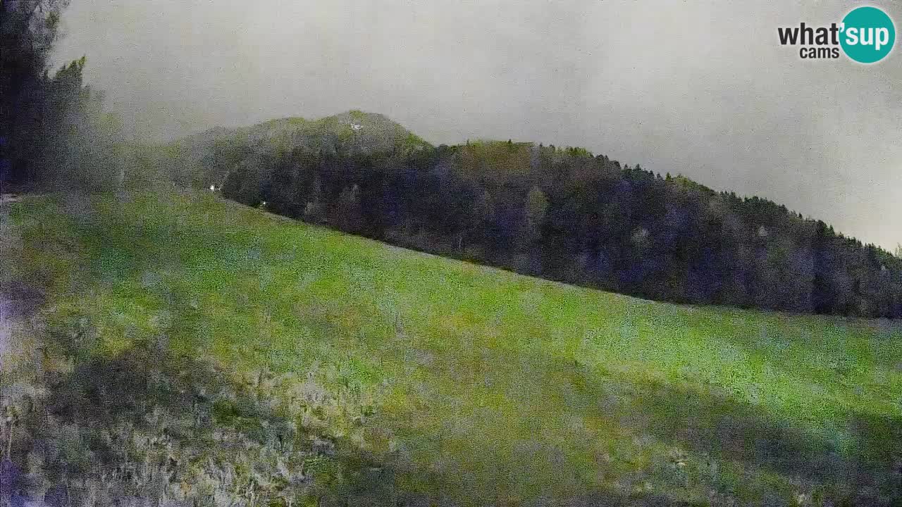 Esquí Kranjska Gora | Brsnina