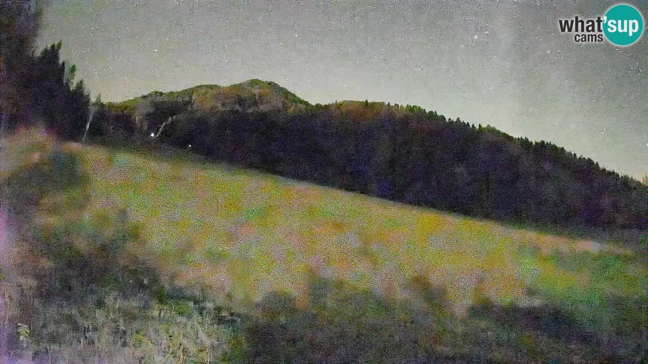Comprensorio sciistico Kranjska Gora | Brsnina