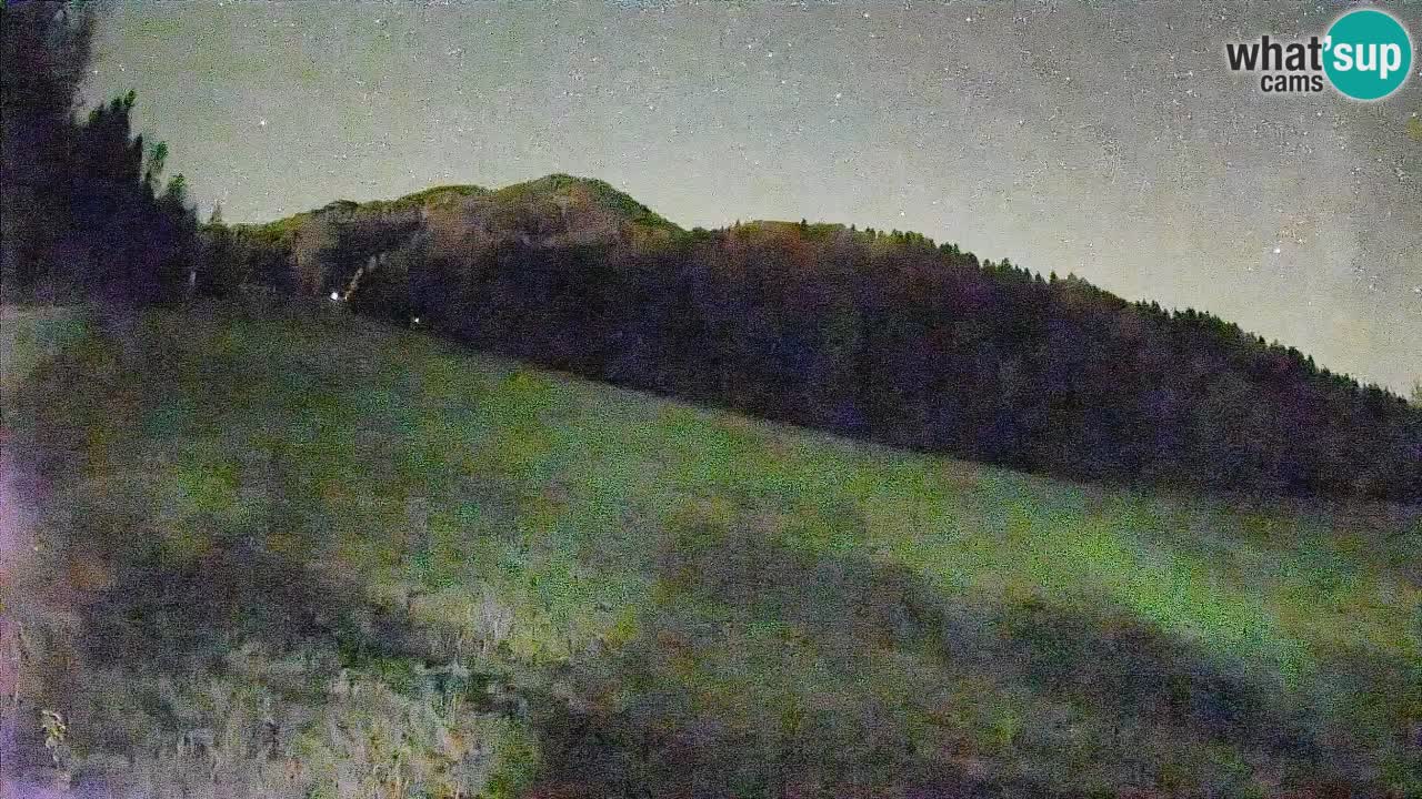 Esquí Kranjska Gora | Brsnina