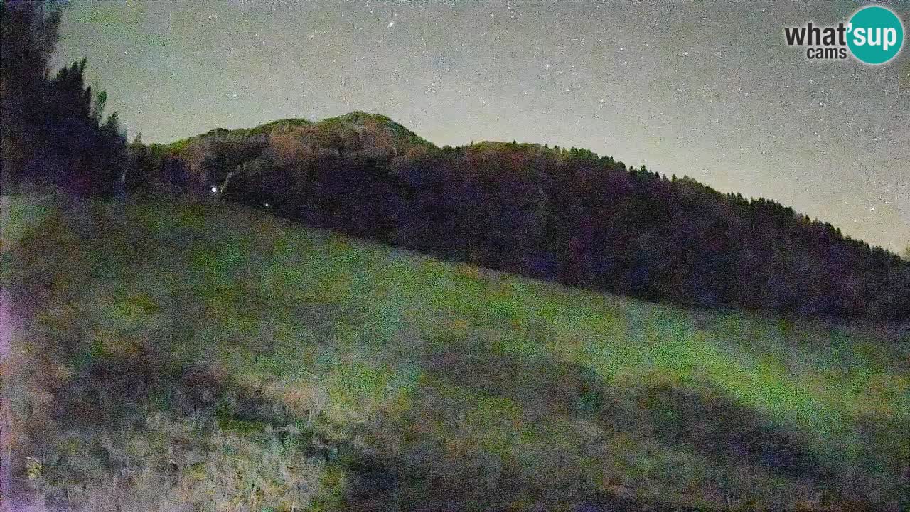 Comprensorio sciistico Kranjska Gora | Brsnina