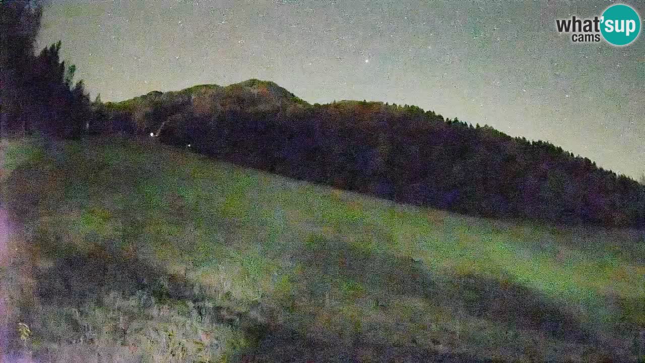 Ski Kranjska Gora | Brsnina