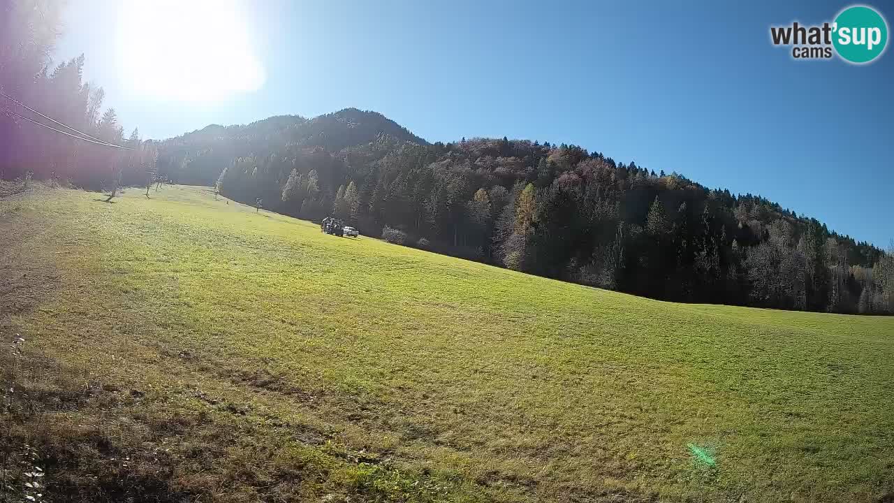 RTC Skigebiet Kranjska Gora | Brsnina