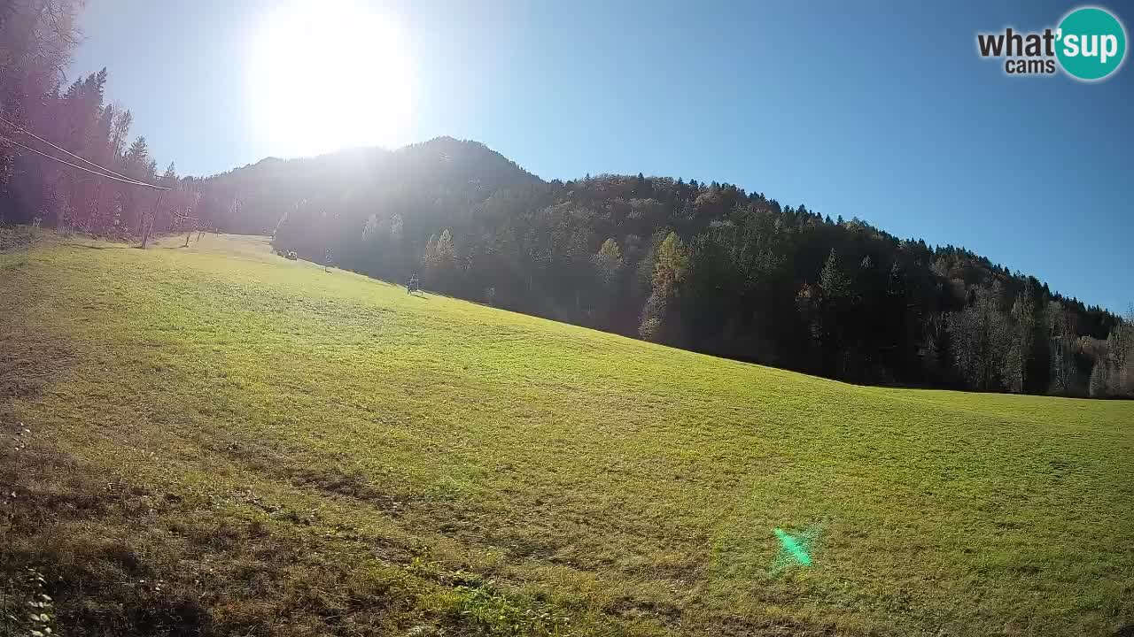 Comprensorio sciistico Kranjska Gora | Brsnina